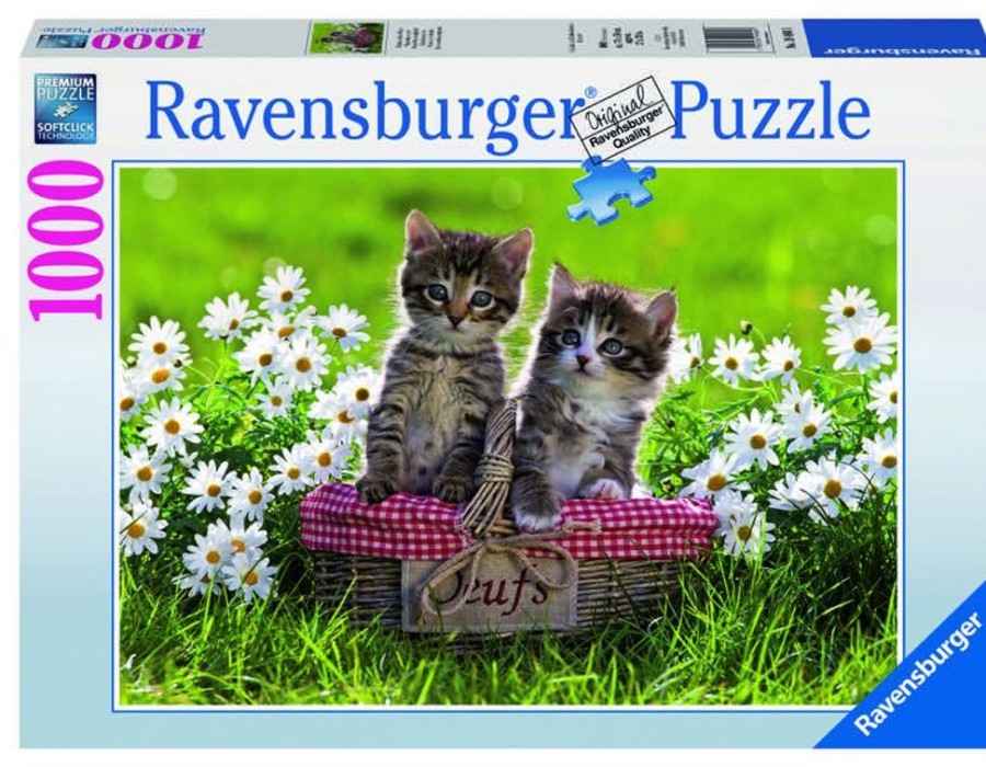 Puzzles Ravensburger | Ravensburger Puzzle - Picnic In The Meadow - 1000Pc