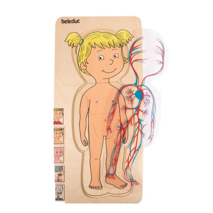 Puzzles Beleduc | Beleduc - 5 In 1 Layer Puzzle - Girl