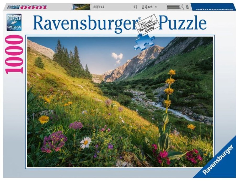 Puzzles Ravensburger | Ravensburger Puzzle - Magical Valley - 1000Pc